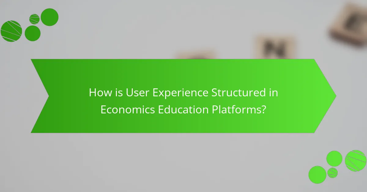 How is User Experience Structured in Economics Education Platforms?