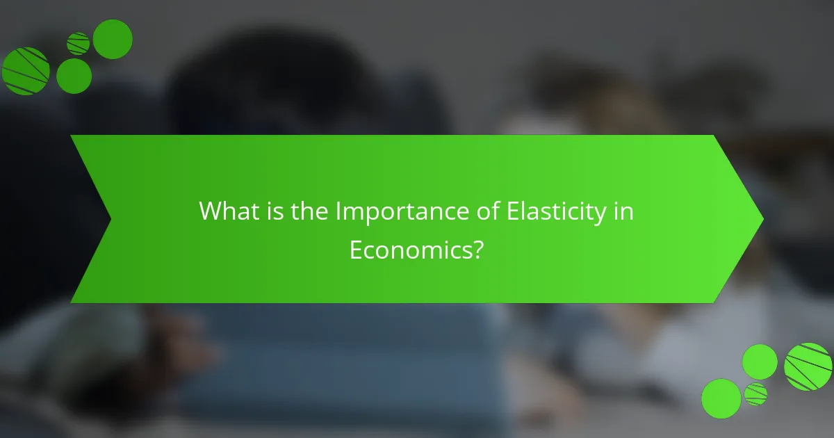 What is the Importance of Elasticity in Economics?