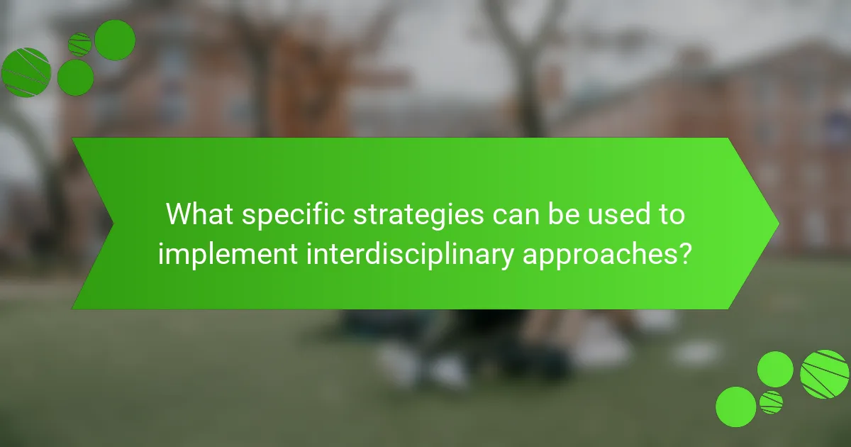 What specific strategies can be used to implement interdisciplinary approaches?